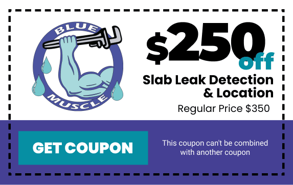 $250 off Slab Leak Detection & Location, regular $350 — Blue Muscle Plumbing & Rooter, Lancaster CA