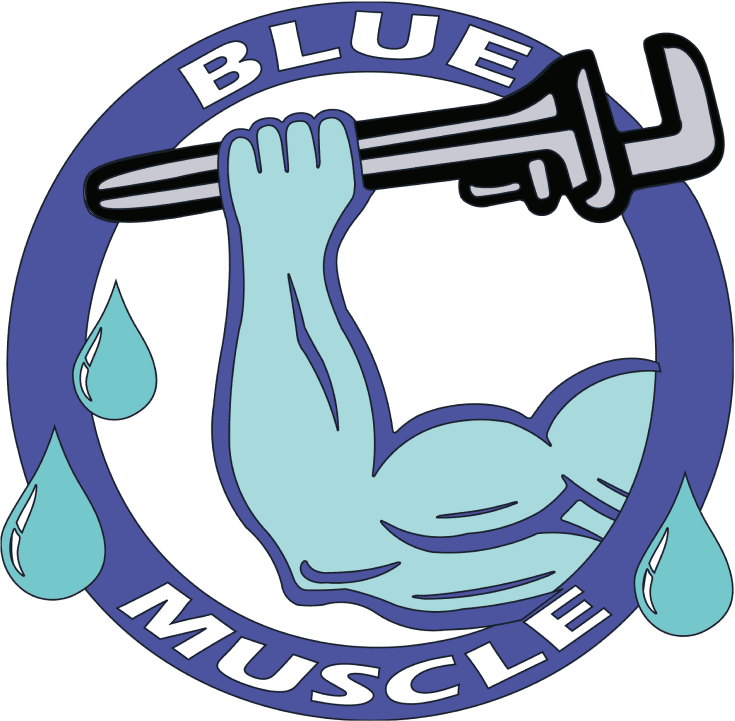 Blue Muscle Plumbing & Rooter Service in Lancaster, CA