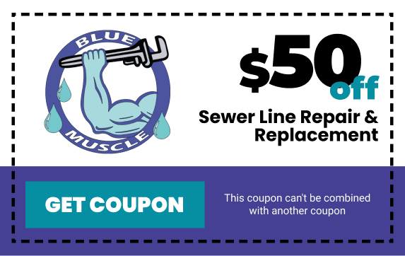 Blue Muscle Plumbing & Rooter Service in Lancaster, CA - Sewer Line Coupon