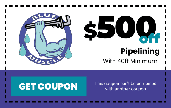 Blue Muscle Plumbing & Rooter Service in Lancaster, CA - Pipelining Coupon